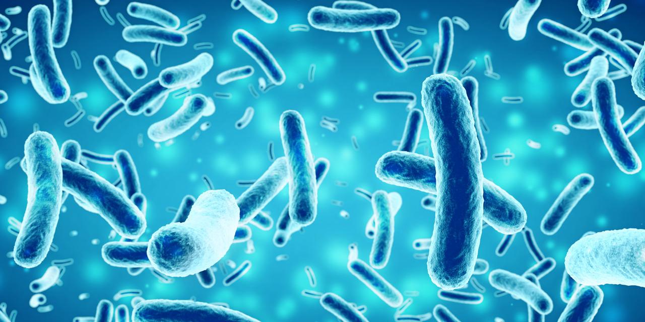 阴道菌群：解锁宫腔粘连问题的新钥匙