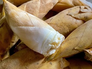 冬笋的保存方法视频,冬笋的保存方式