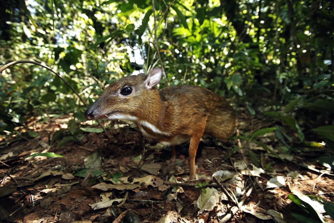 昆明七彩云南怎么样,七彩云南避暑家园