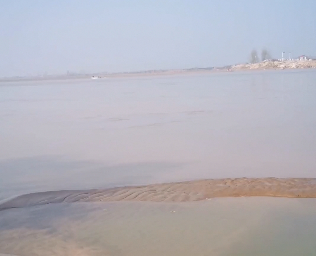 郑州黄河边捉老鳖,山东河南交界处黄河老鳖