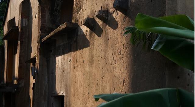 逛美食之都顺德,顺德又可以玩又可以吃的地方