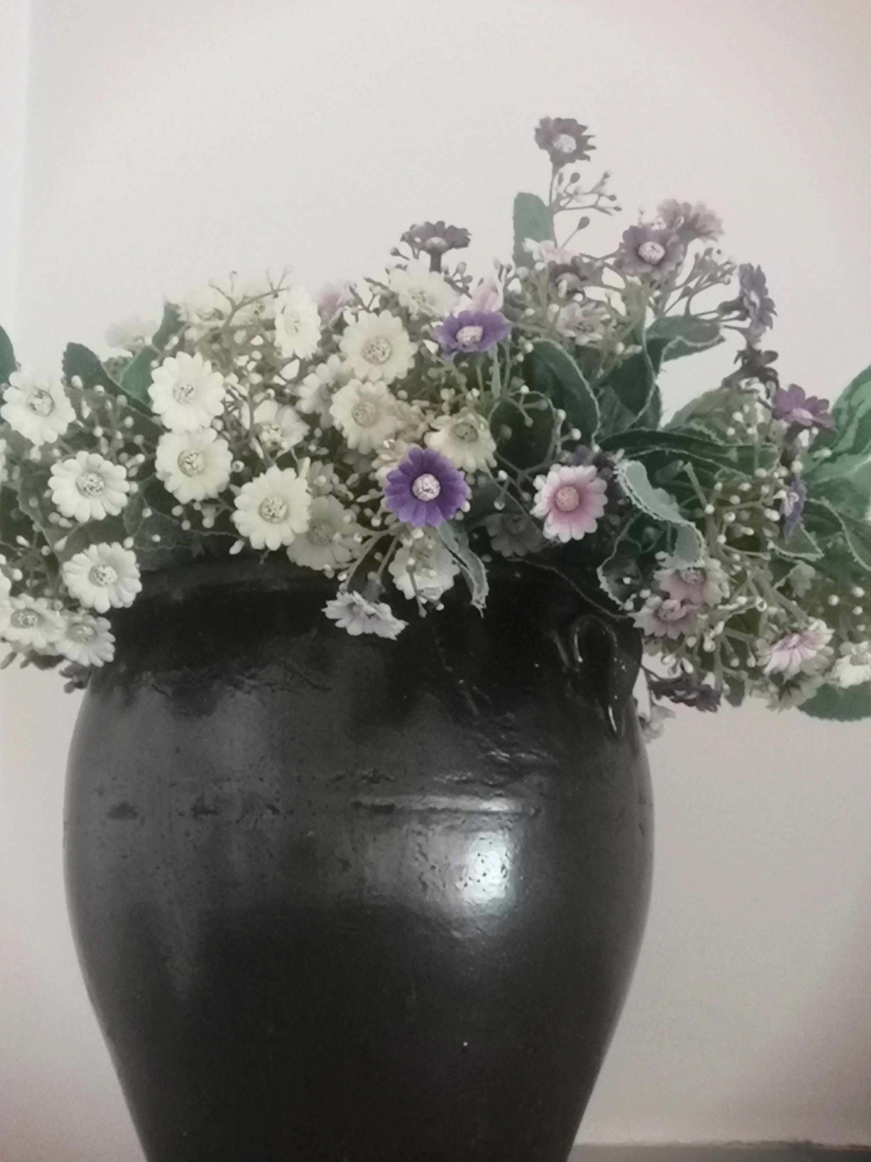 告别小学六年的句子,告别小学迎接初中作文