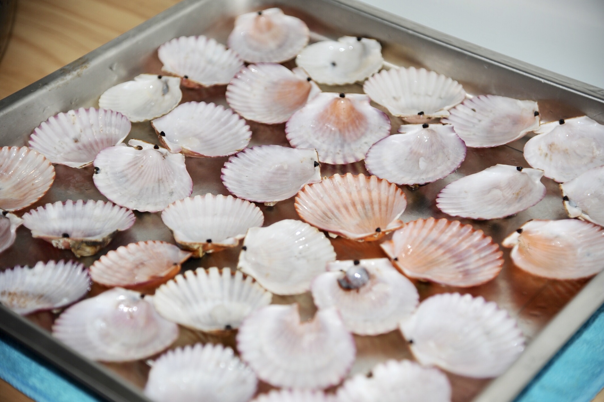 蒜蓉粉丝蒸扇贝好吃得不得了,蒜蓉粉丝蒸扇贝香辣爽口过瘾