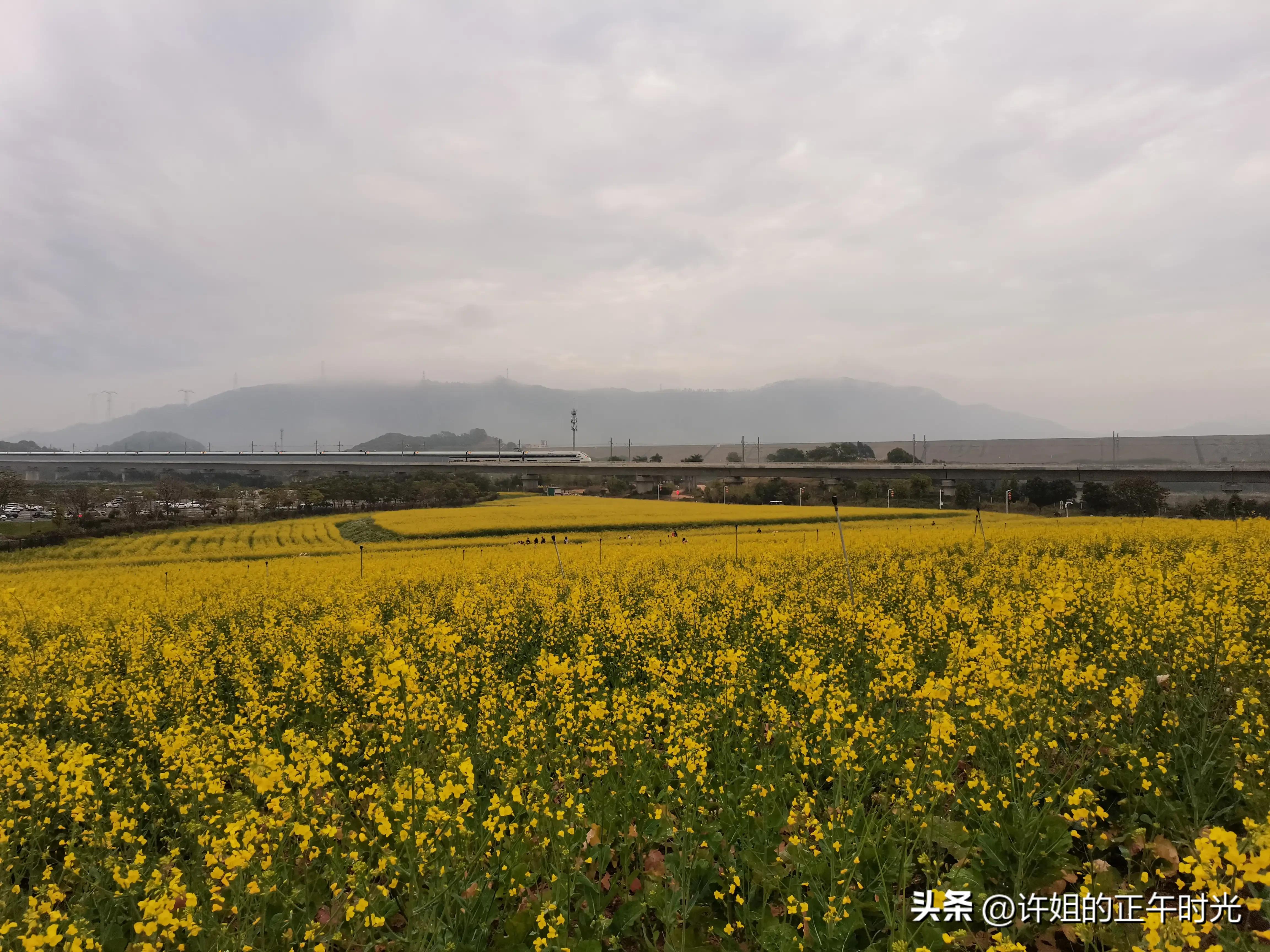 深圳光明发展速度,深圳光明有什么潜力