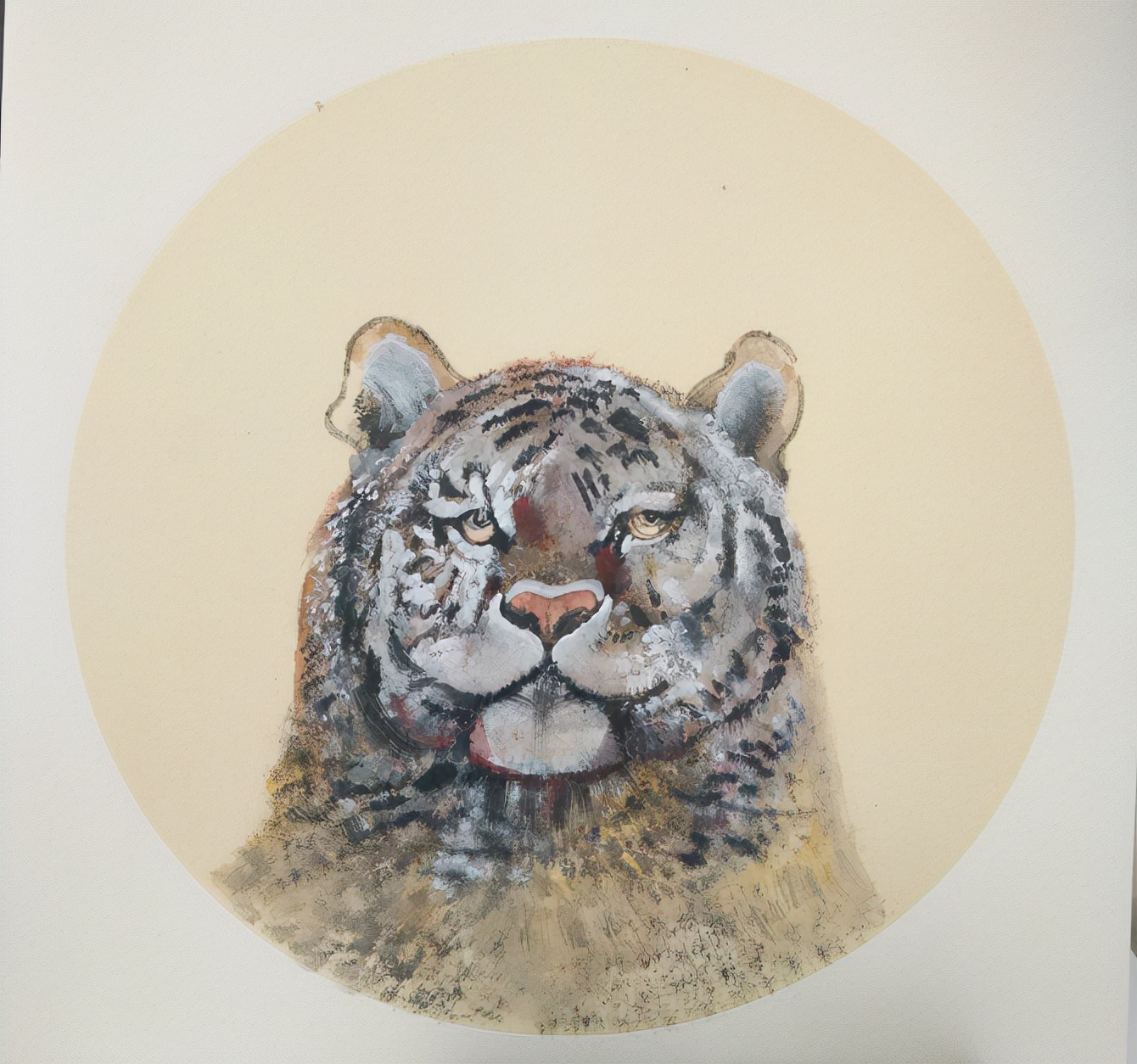 虎年说虎谜底,虎年说虎事