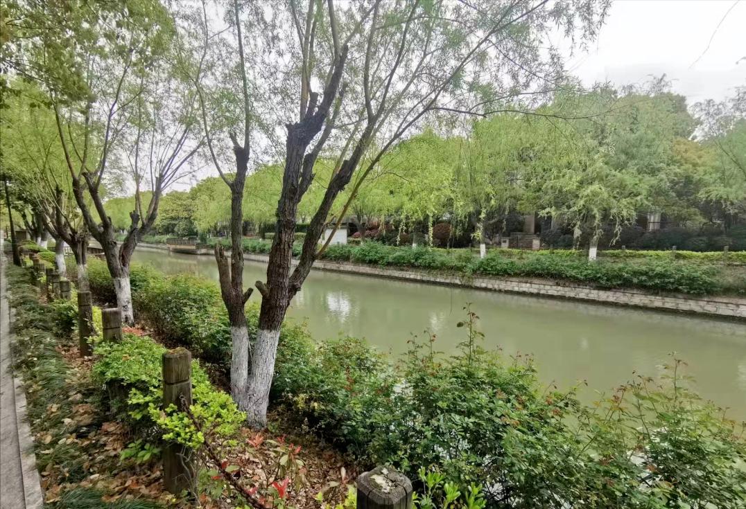 白金瀚宫别墅栋号分布图,白金瀚宫三期11层洋房