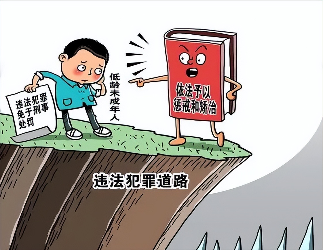 青少年违法犯罪典型案件,预防青少年违法犯罪工作汇报