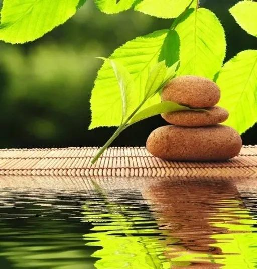 每日一悟精辟,每日一悟浮生不过梦一场