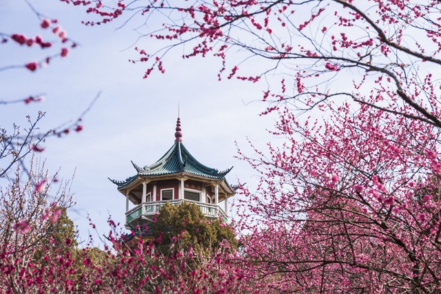 无锡是宜居城市吗,无锡和嘉兴哪个城市宜居