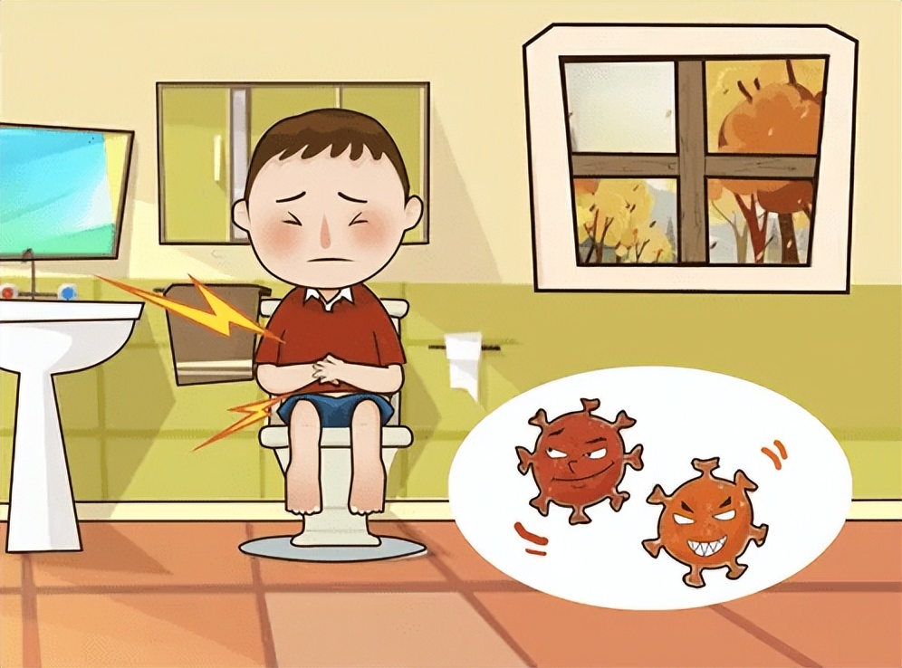 呵护肠胃专用肠道益生菌,益生元肠道守护卫士