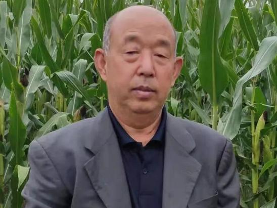 如果村子中没有了村长，该由谁来接替这一职务呢？一起来分析下