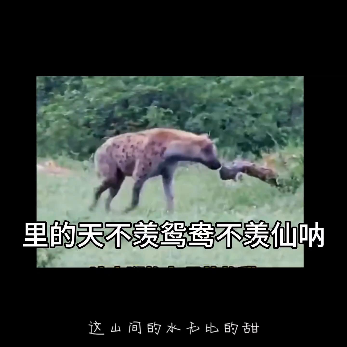 关注我每天分享不同的事,关注我每天分享不同的故事搞笑段子