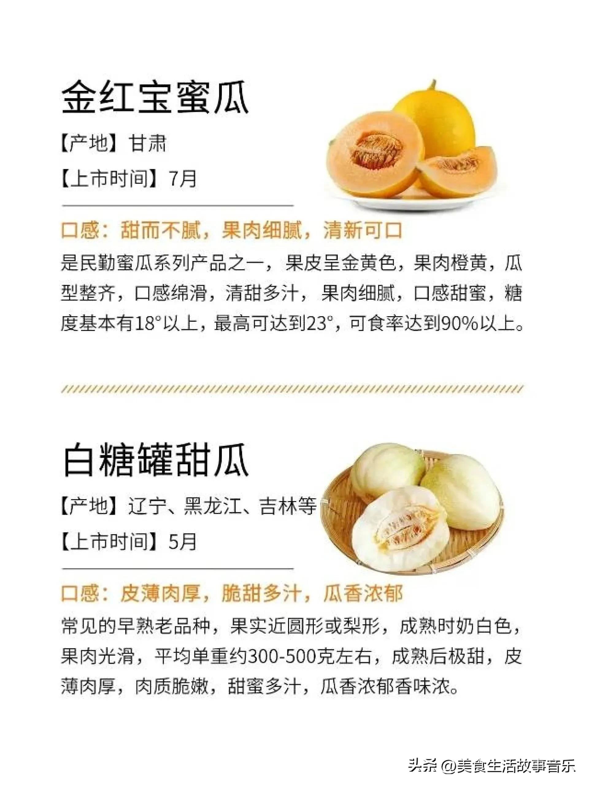 甜瓜熟度最好的品种,甜瓜品种科普图解