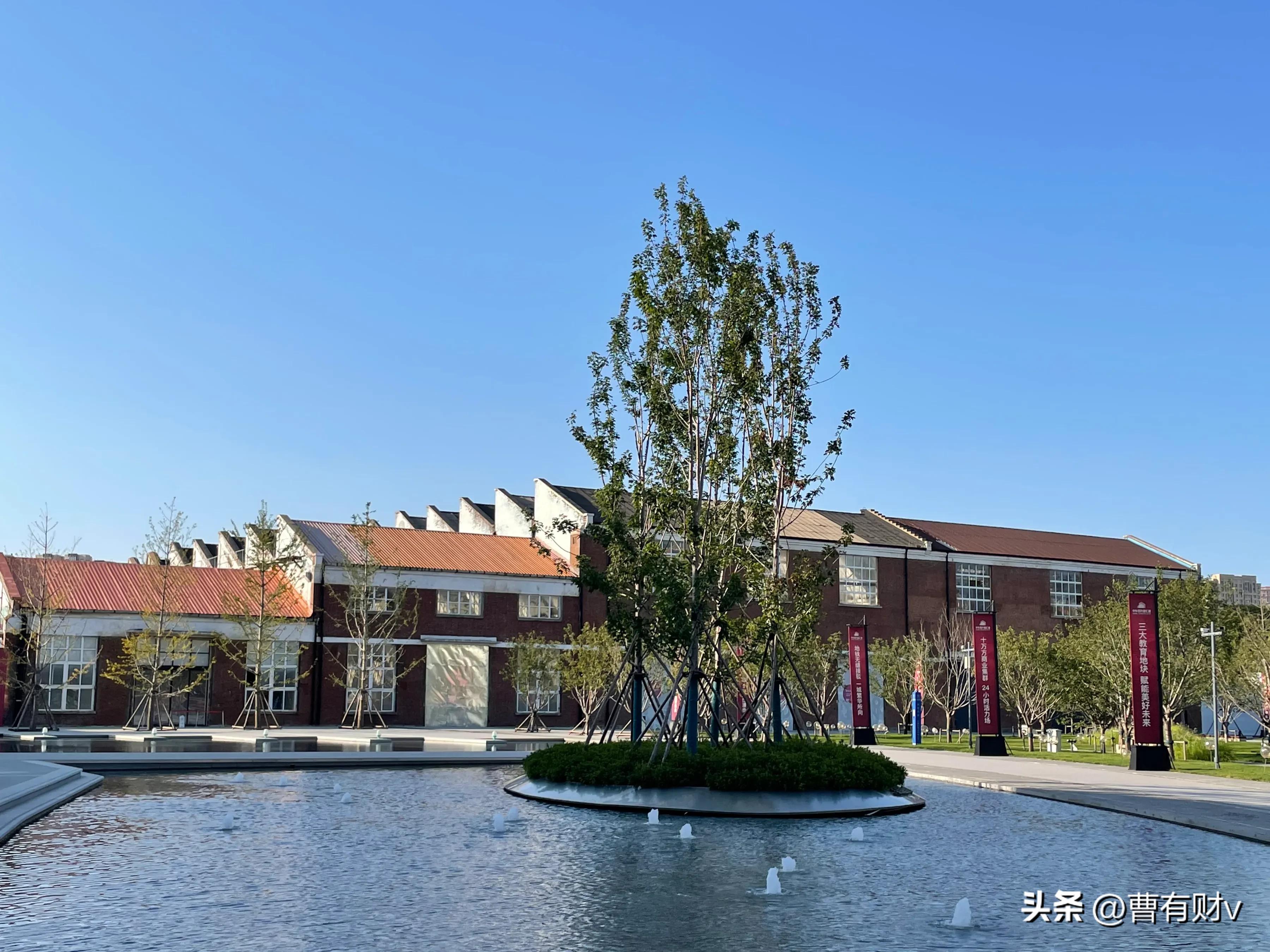 青岛中山公园网红打卡点,青岛亲子游攻略网红打卡地