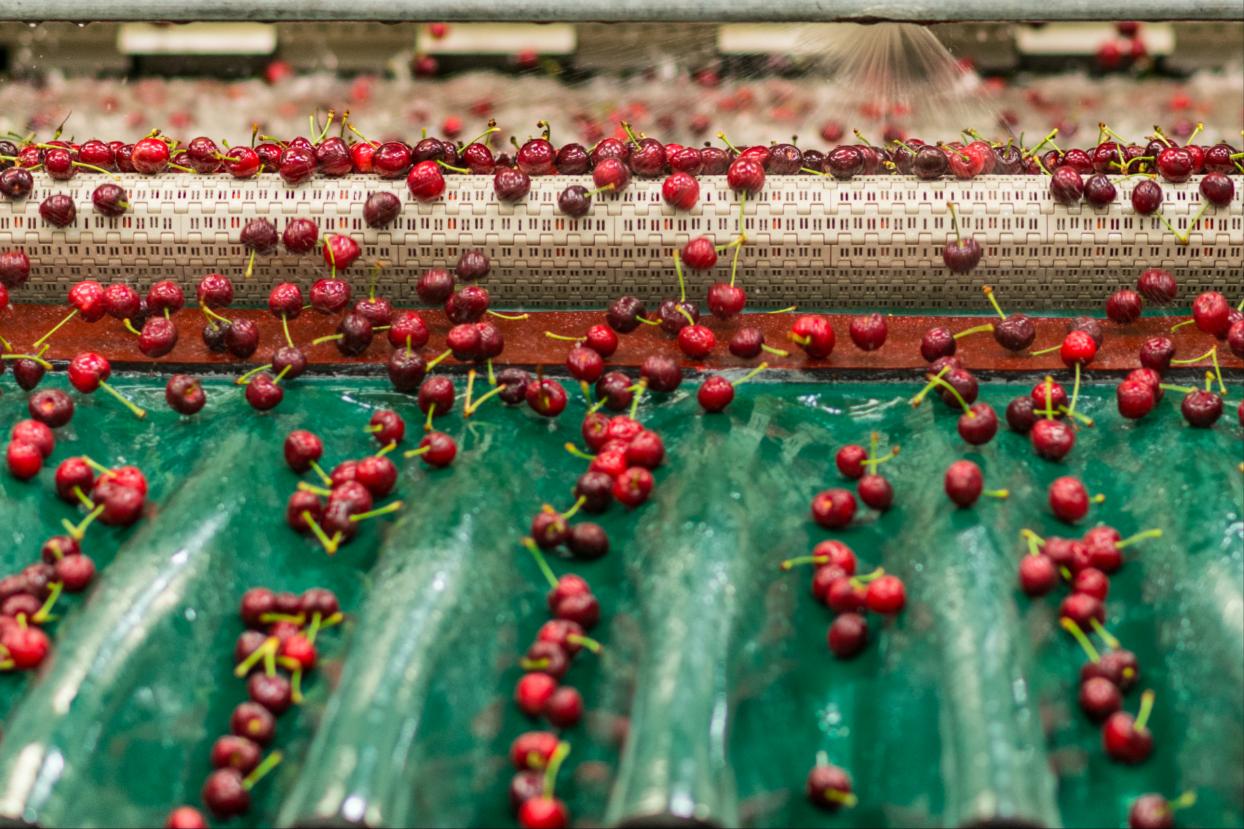 澳大利亚稀有水果,澳大利亚冷冻水果