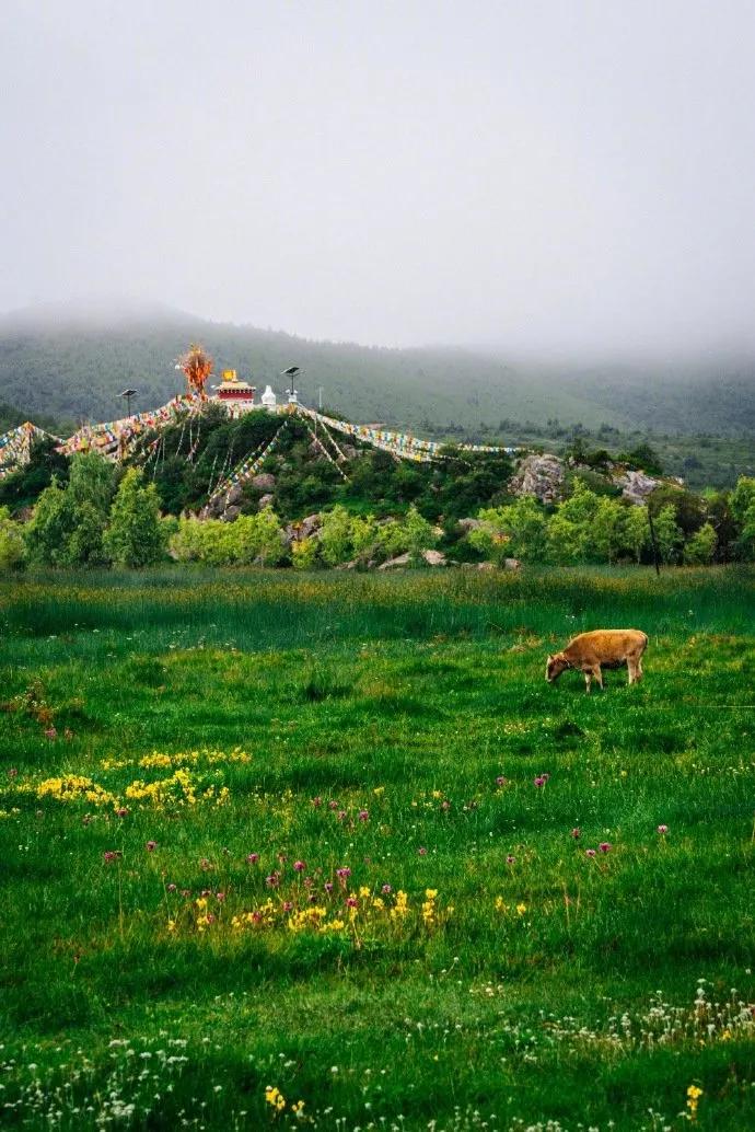 背景图冰岛,瑞士城市风光
