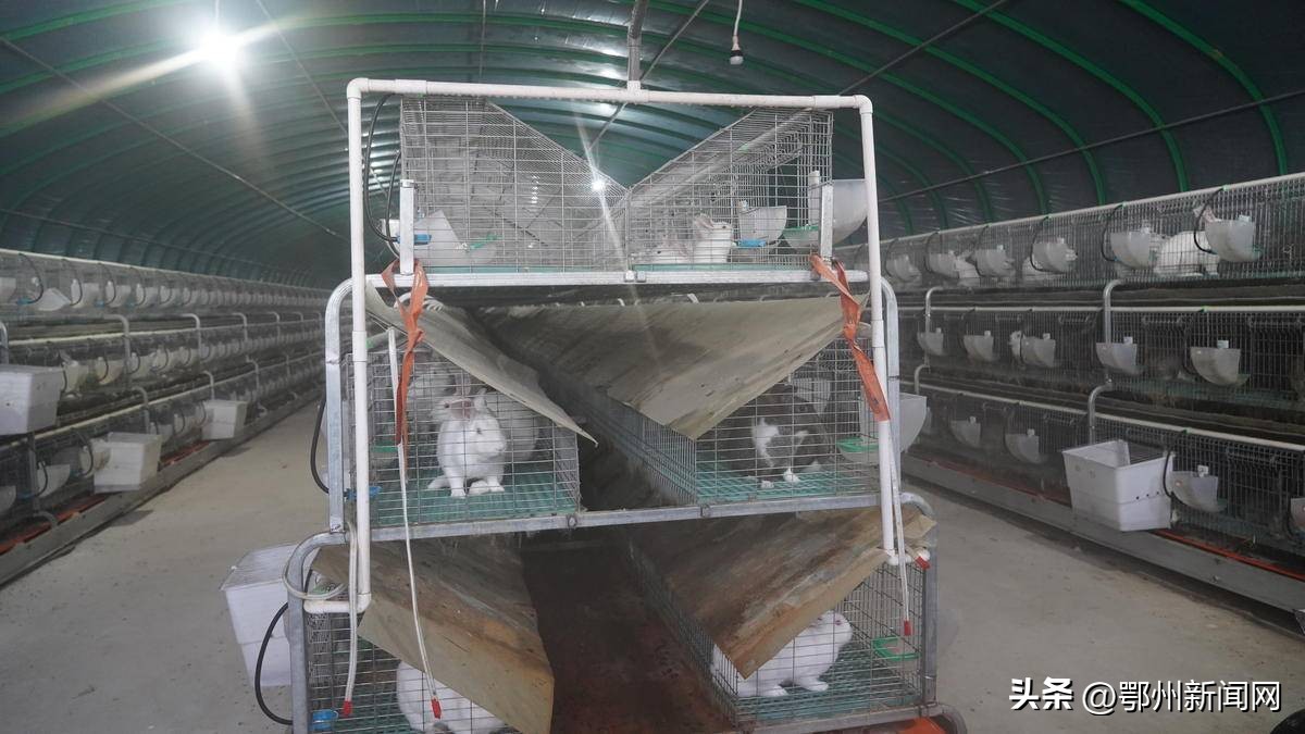 深耕农村沃土激扬梦想,深耕为民沃土赋能乡村振兴