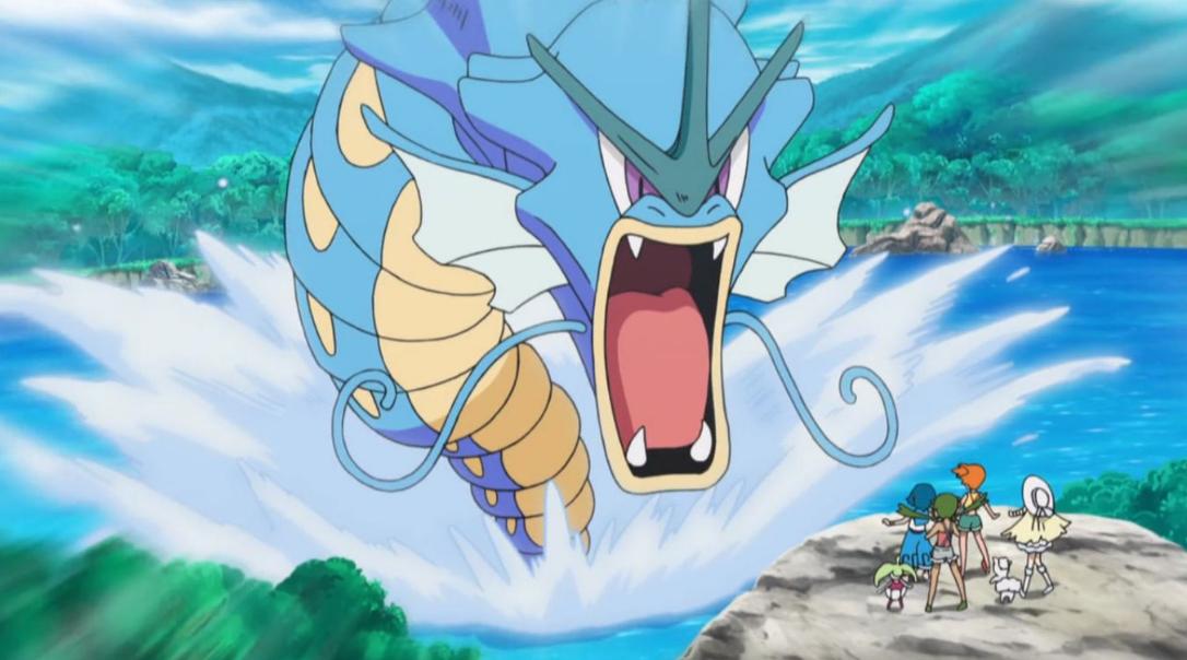 能学习秘传技能最多的宝可梦,精灵宝可梦xy秘传技能怎么遗忘