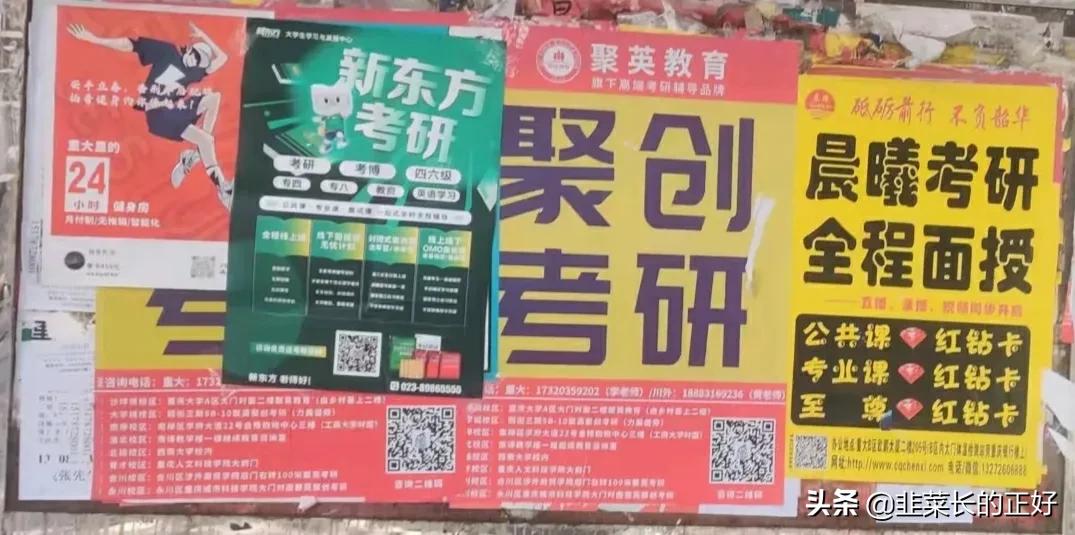 考研太贵怎么办,考研报名费为什么这么贵