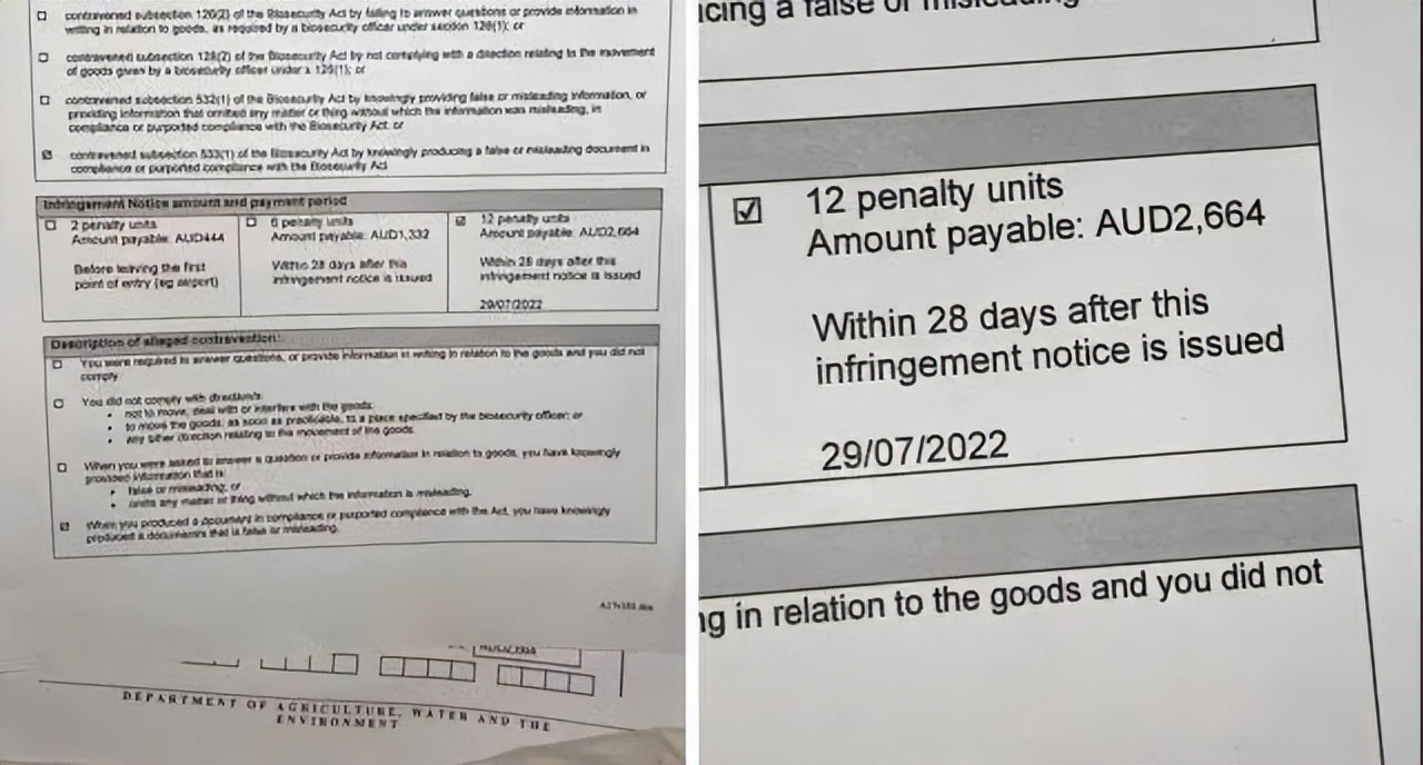 因一块三明治,女子入境澳洲被罚$2664,政府:别不小心带*禁品违**