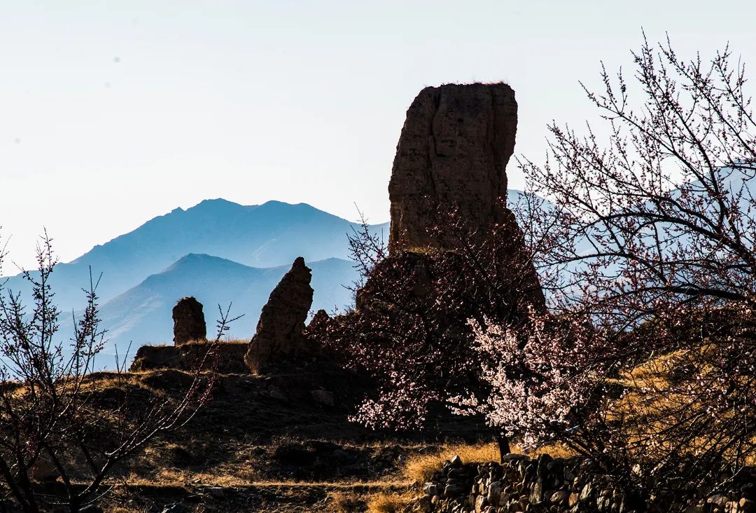 迎接党的20大美术作品,喜迎二十大乡村摄影展