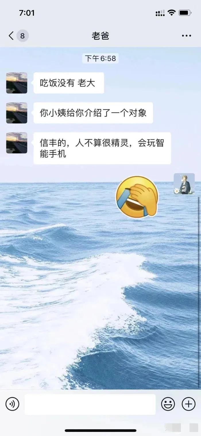 以前不理解别人养宠物,小鳄龟为啥养着养着就断尾了