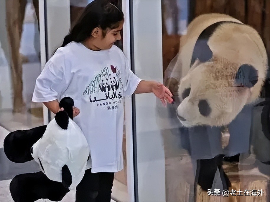 举办世界杯的卡塔尔究竟有多富,卡塔尔耗资2200亿打造世界杯