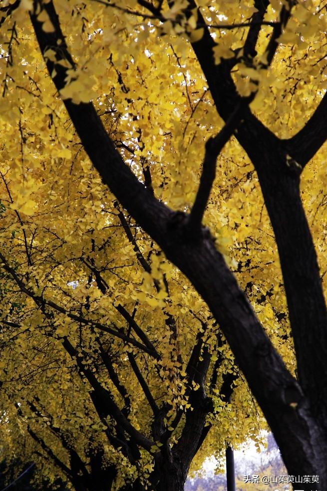 芜湖旅游攻略教堂,芜湖鸠兹风景区
