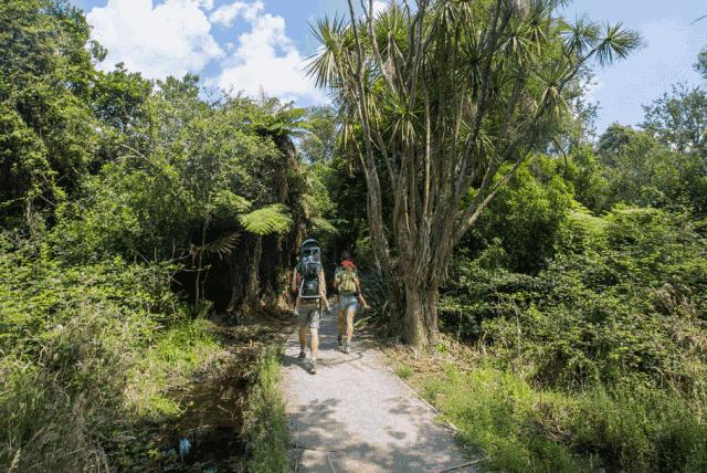 游记分享推送,游记分享我的旅行日记