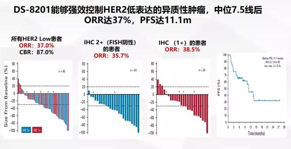 乳腺癌HER2低表达药物,乳腺癌her2强化辅助治疗