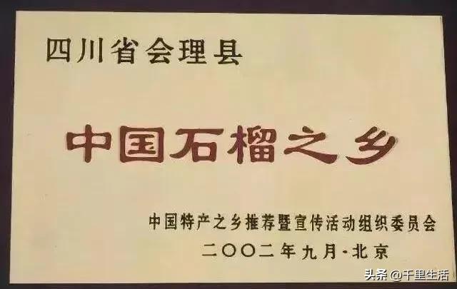 突尼斯软籽石榴超级好吃,突尼斯软籽石榴不用吐籽就能吃