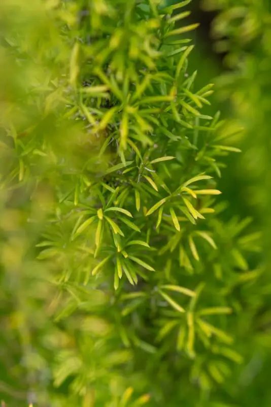 宾得新款16-50评测,宾得镜头18-135样片测评