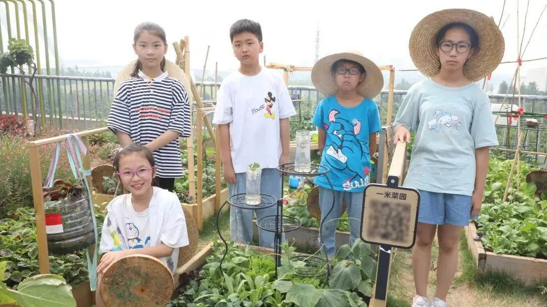 名师数学直播课,数学教学技巧直播