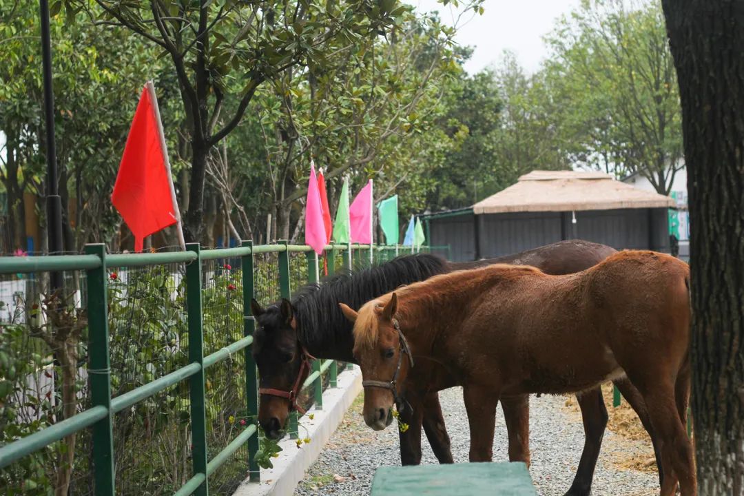 长沙攻略避开人群,收藏长沙