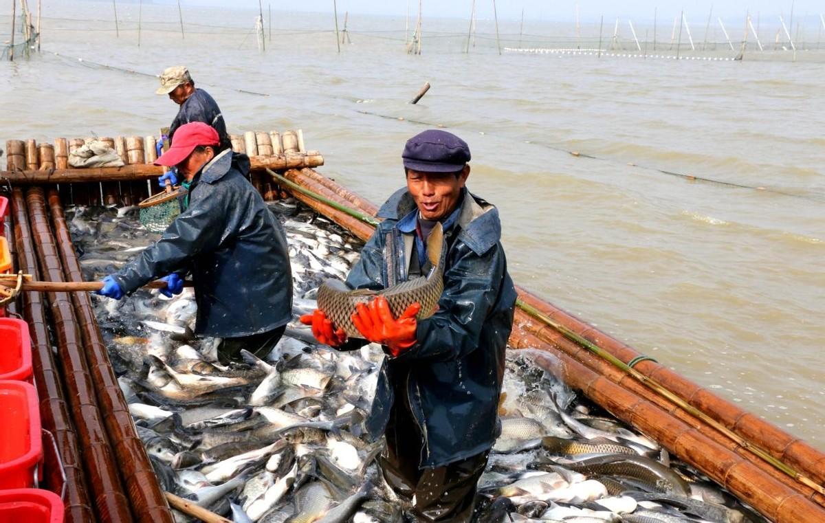 中国第1个办手机号的人是谁,中国第一位办手机号的人