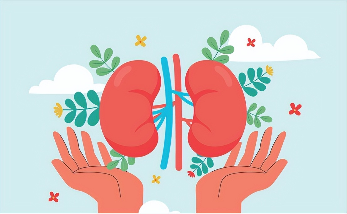 肌酐高就是代谢功能差吗,肾功能肌酐正常尿常规肌酐高