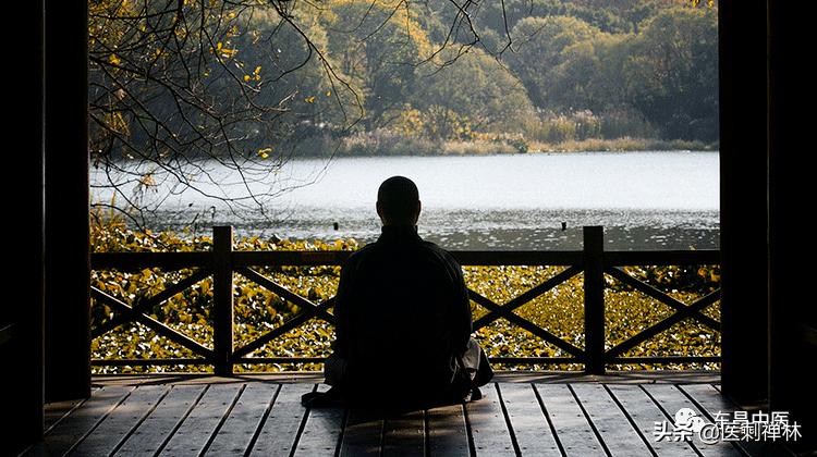 蝉的禅意深度有多深,蝉意与禅意