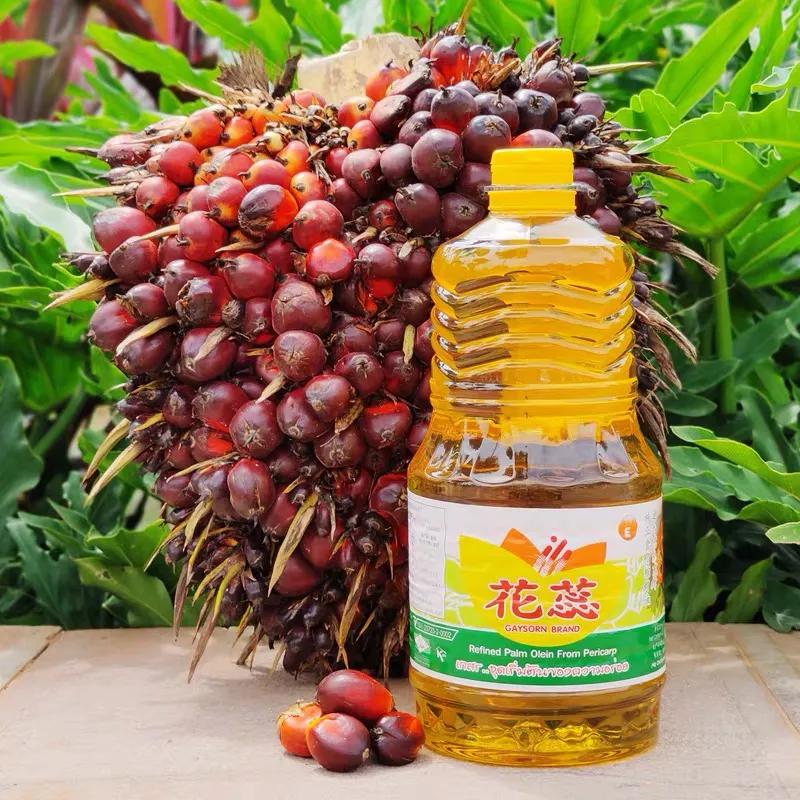 东南亚哪个国家出产棕榈油最多,为什么棕榈油能成为世界油王