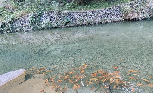 温州一日游最佳地方永嘉书院推荐,去温州永嘉书院玩的感想