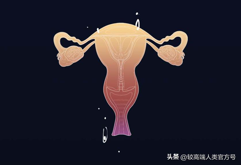 哪些生活用品容易成为智商税,空气净化器是不是智商税产品