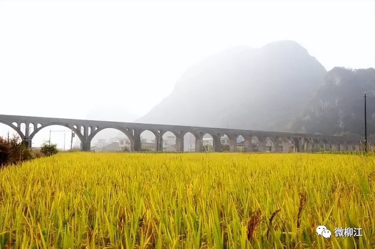 柳江的美景,想要诗和远方又不想离家