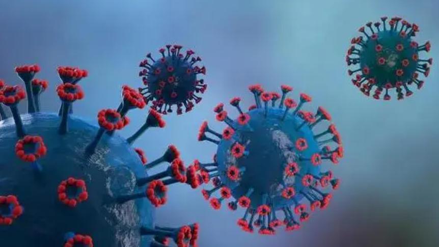 新冠特效药印度版多少元一盒,新冠印度进口特效药多少钱