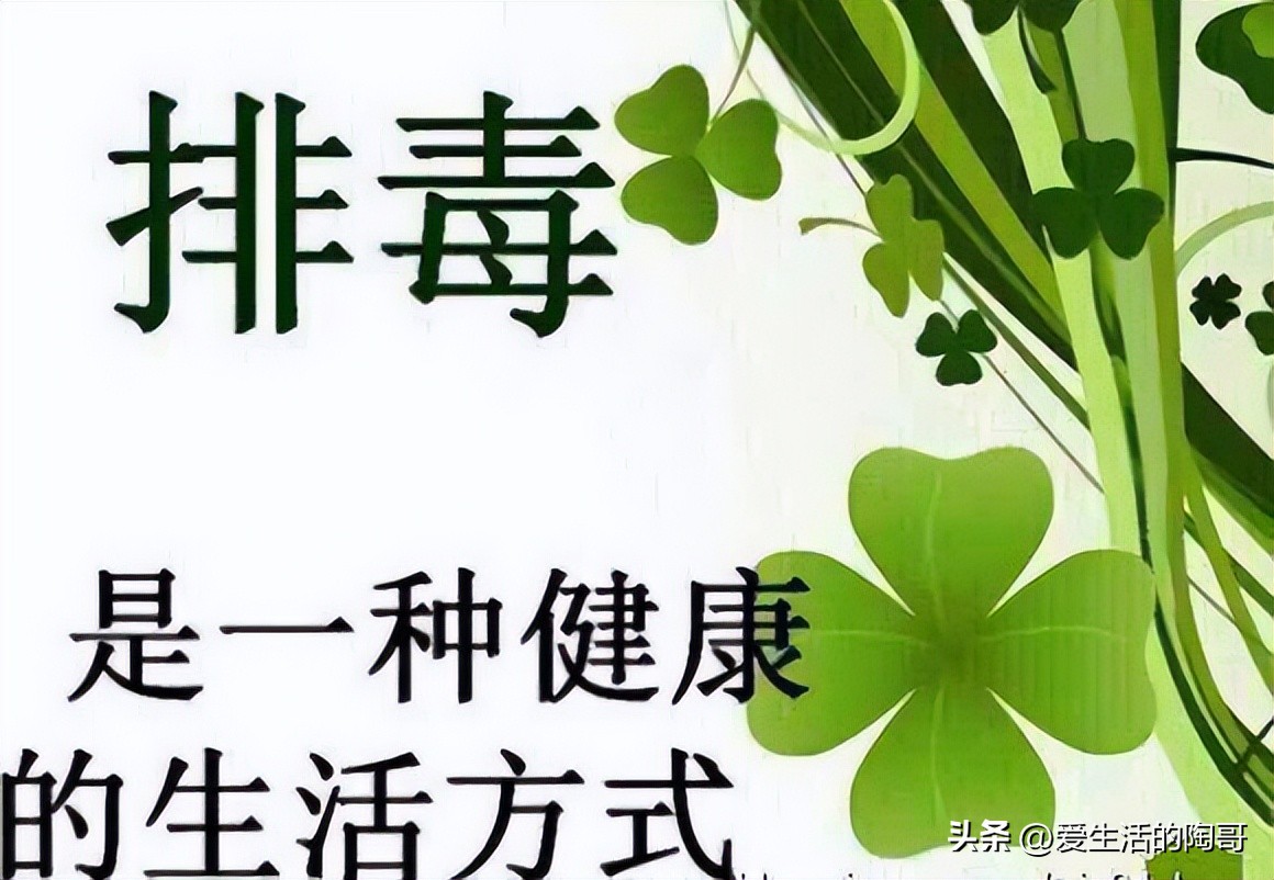 夏天清热排毒的菜有哪些,夏季排毒养颜的蔬菜