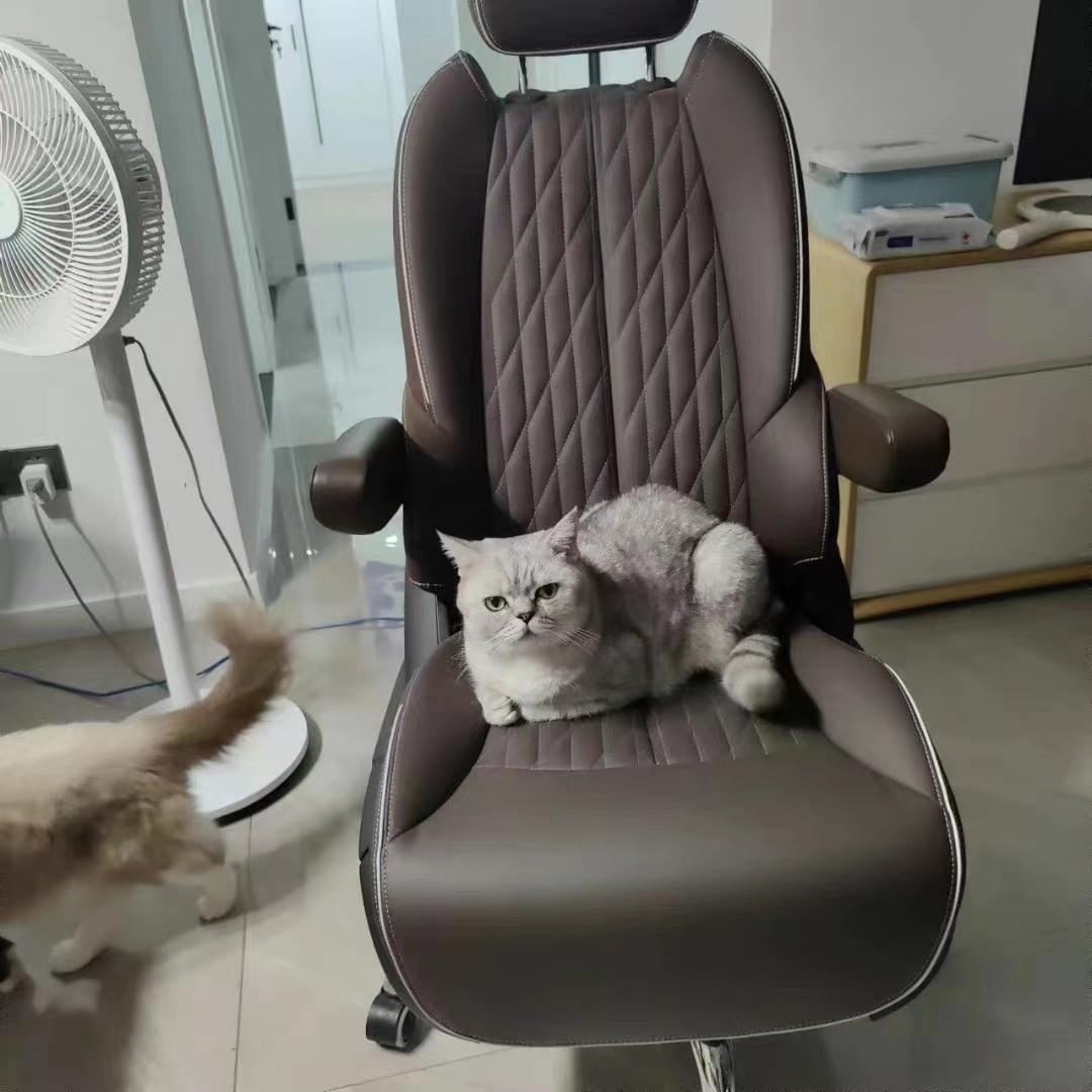 大众推出电动办公椅：时速达19公里，还有喇叭和安全带