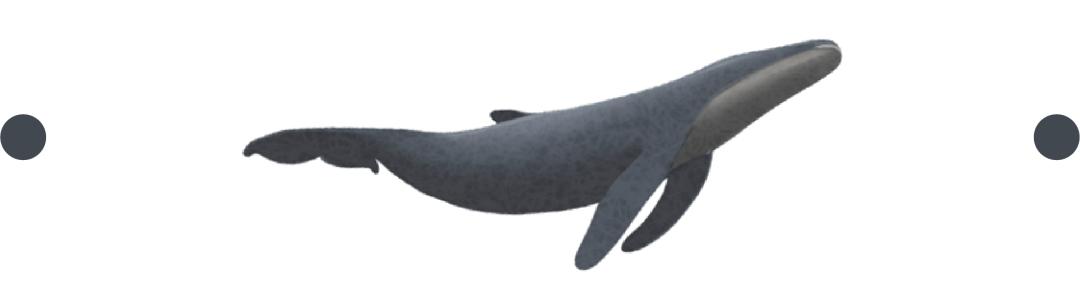 家具电商生存现状,一个良心家具商的电商之路