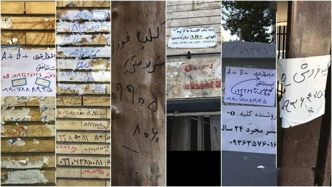 为了不饿死，伊朗人正在卖掉*丸睾**