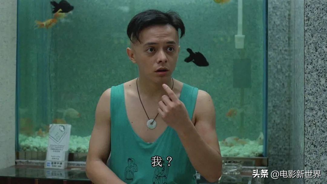 金手指黄靖涵,金手指黄斌