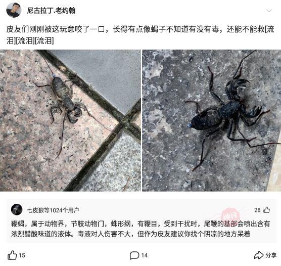 神回复:为什么近视的人睡觉不戴眼镜,那他们晚上做梦能看得清吗