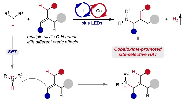 三周发四文：雷爱文团队光电赋能绿色物质转化最新进展