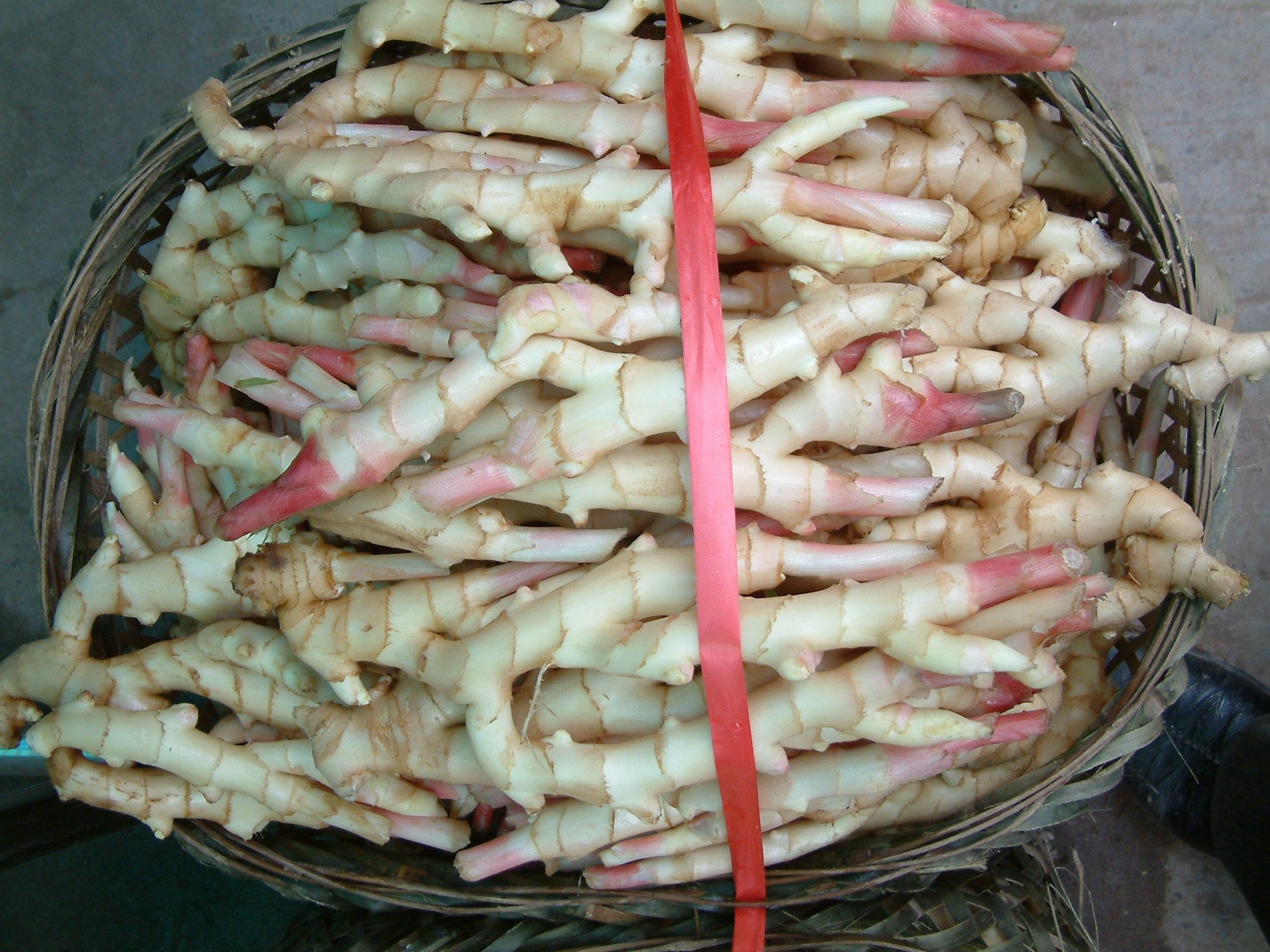 洞洞姜的底层怎么处理,洞洞姜处理方法